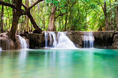 Low angle view of waterfall in forest