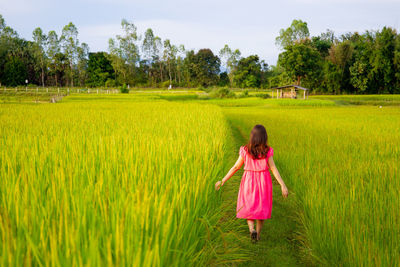 Rear view of girl walking on grassy land