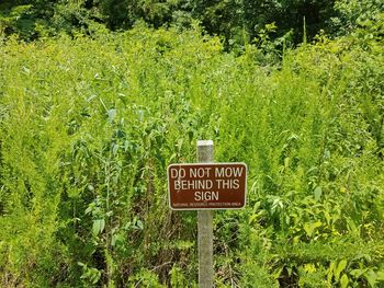 Information sign on green land