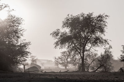 Tent on field against clear sky