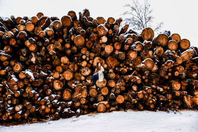 Stack of logs in snow