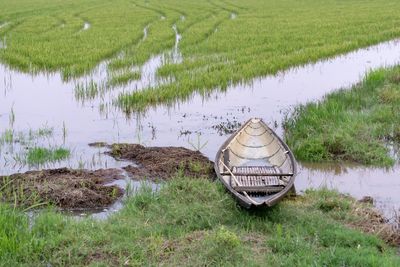 Scenic view of agricultural field