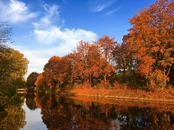 Trees by lake against sky during autumn