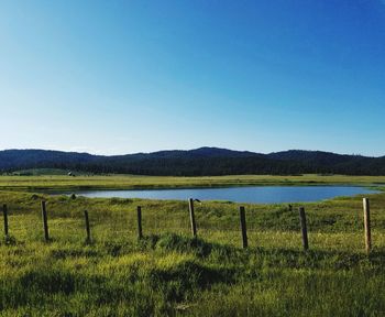 Scenic view of landscape against clear sky