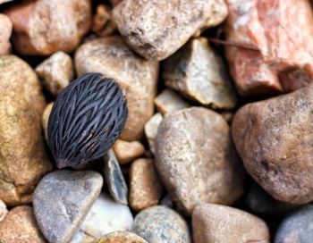 Full frame shot of pebbles