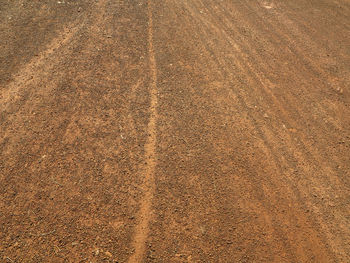 Full frame shot of agricultural field