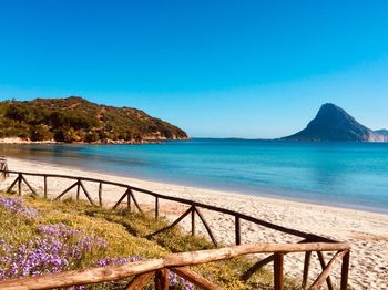 Scenic view of sea against clear blue sky