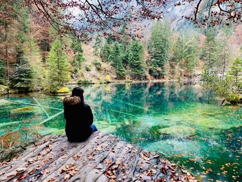 Rear view of man sitting by lake in forest