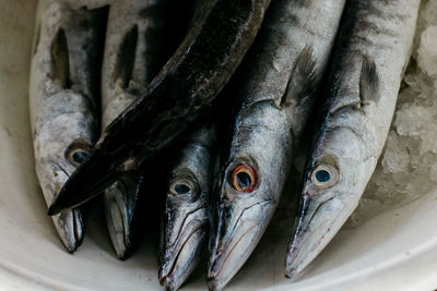 Close-up of fish for sale in market