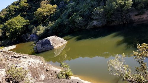 Scenic view of lake