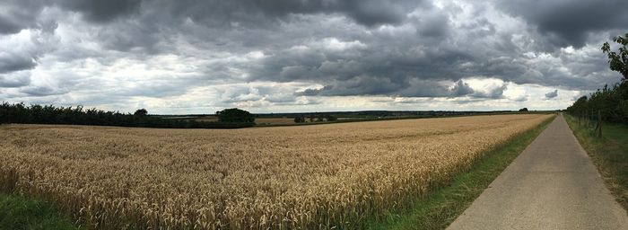 Scenic view of agricultural field against sky