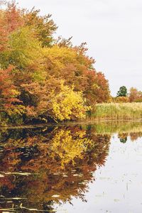 Reflection of trees on lake during autumn