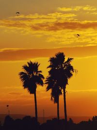 Silhouette palm tree against orange sky