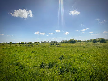 Scenic view of field against sky