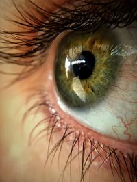 Extreme close-up of human eye