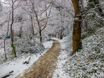 Road by river in forest during winter