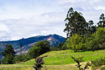 Scenic view of field against cloudy sky