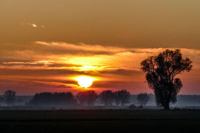 Silhouette trees on field against sky during sunset