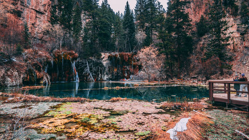 Trees by lake in forest during autumn