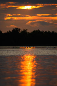 Silhouette trees by sea against orange sky