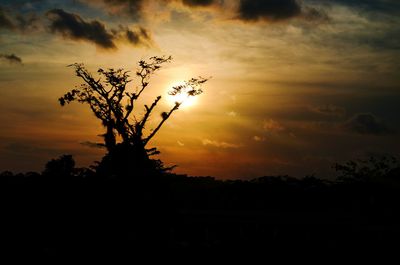 Silhouette tree on field against sky at sunset