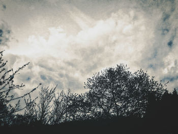 Low angle view of trees against cloudy sky