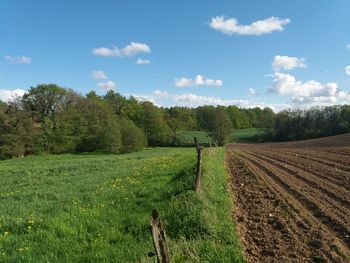 Scenic view of agricultural field against sky