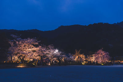 Illuminated trees by river against sky at night