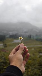 Close-up of hand holding flower on field