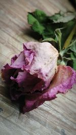 Close-up of pink flowers