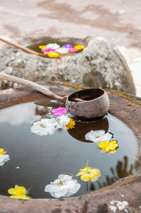 High angle view of water lilies in lake