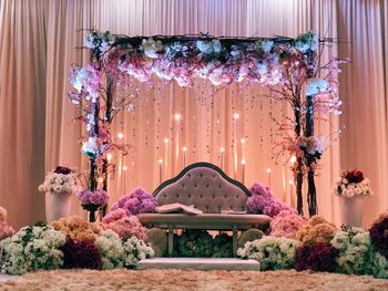 Flower plants in illuminated room