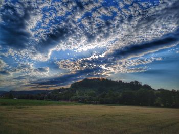 Scenic view of field against sky during sunset