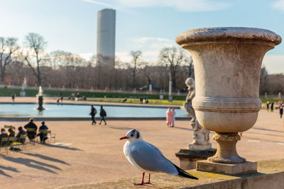 Seagulls perching on a lake