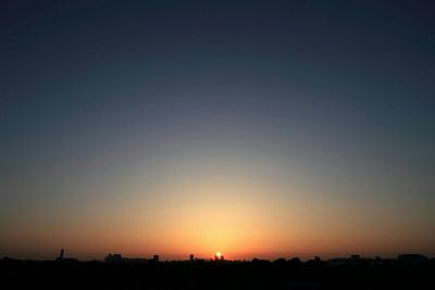 Silhouette of trees at sunset