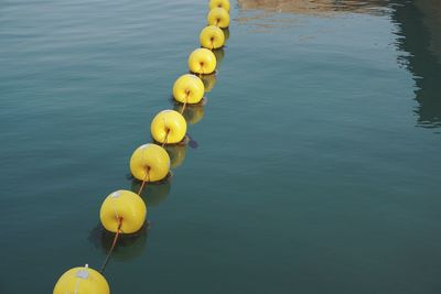 Yellow blue water in container