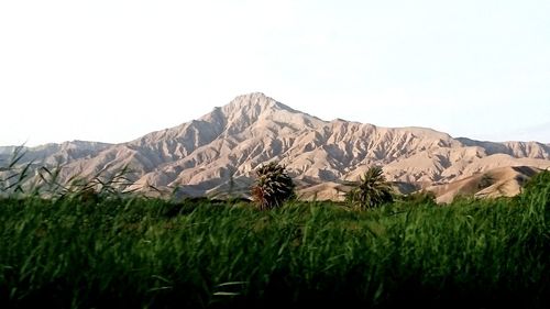 Scenic view of field and mountains against clear sky