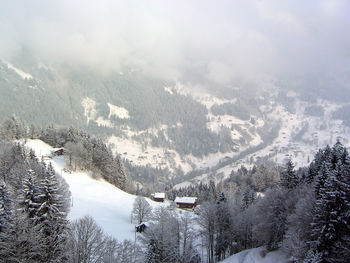 Scenic view of snow covered landscape