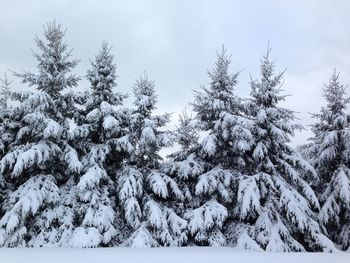 Low angle view of snow covered mountain