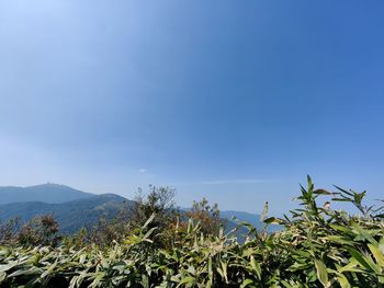 sky
