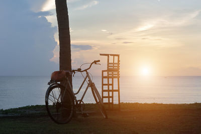 Old bicycle photos set with the coconut trees in the morning, the beauty of nature