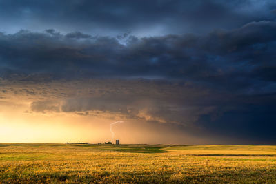 Dramatic, golden sunset light illuminates a field beneath an approaching storm.