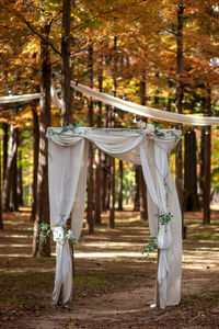 Rear view of woman standing in forest