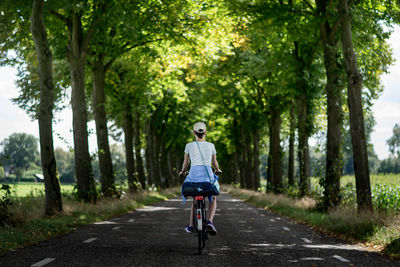 Rear view of people walking on road