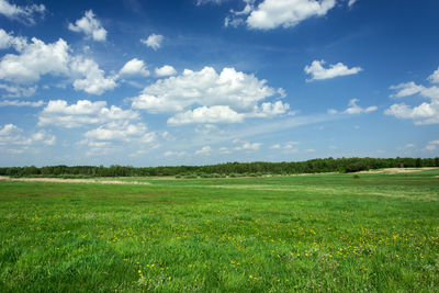 Scenic view of field against sky