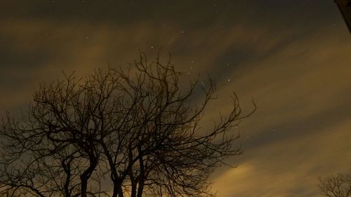 Low angle view of bare trees against sky
