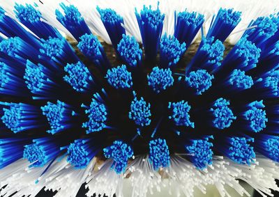 High angle view of blue pattern