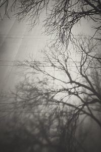 Low angle view of bare trees against sky