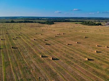 High angle view of a field