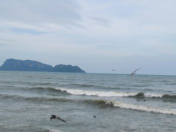 Seagulls flying over sea against sky